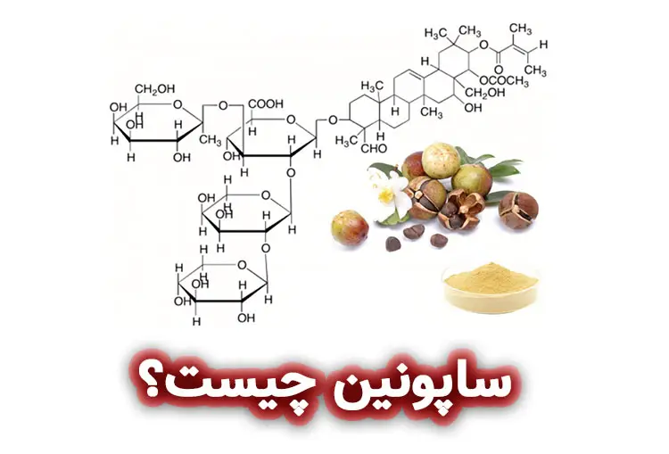 ساپونین چیست؟