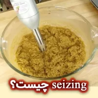 seizing چیست؟