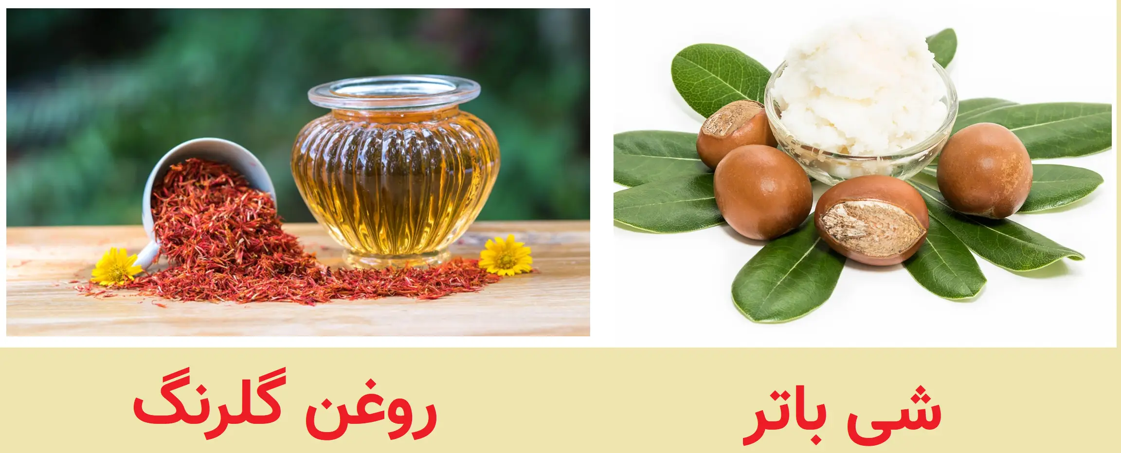 کره شی و روغن گلرنگ