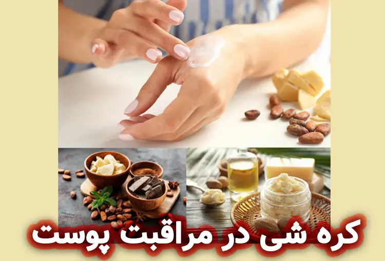فواید کره شی برای پوست و مو