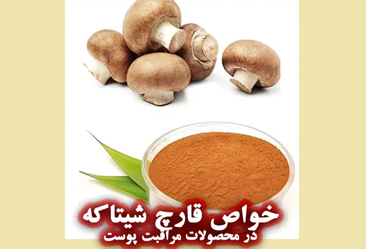 خواص قارچ شیتاکه برای پوست