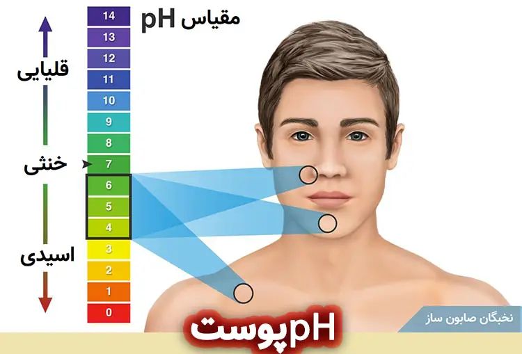 pH پوست چنده؟