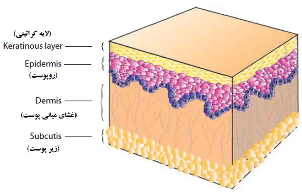 روپوست