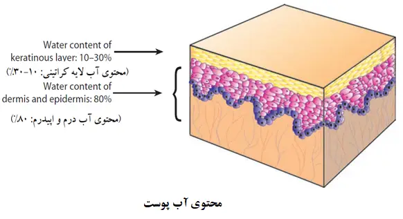 skin water content