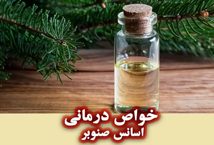خواص درمانی اسانس صنوبر چیست؟
