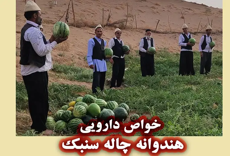 خواص دارویی و درمانی هندوانه چاله سنبک