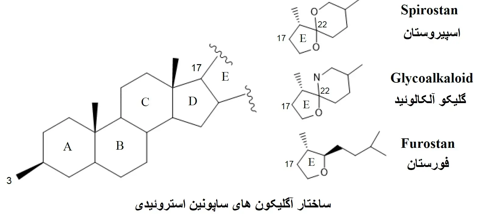 ساختار آگلیکون های ساپونین استروئیدی