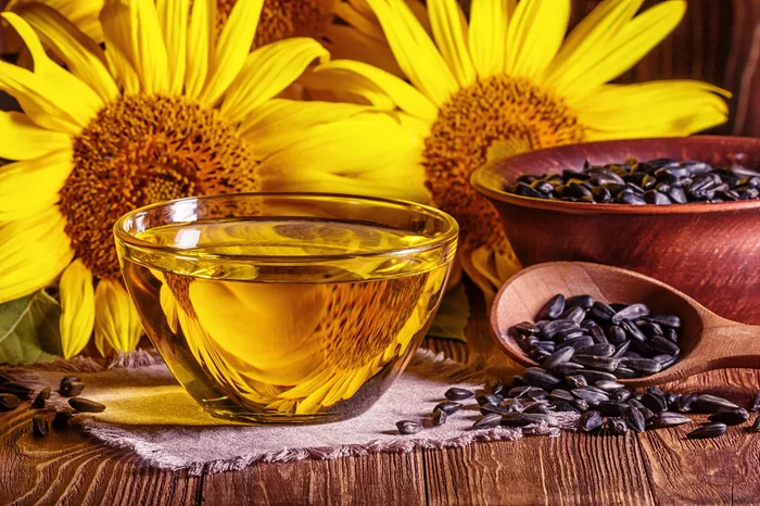 ویدیوی روغن گیری از تخمه آفتابگردان