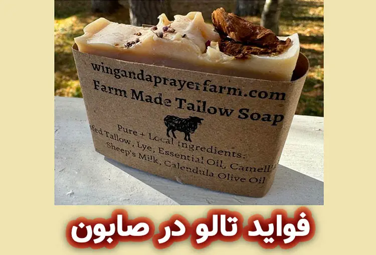 فواید استفاده از تالو در صابون