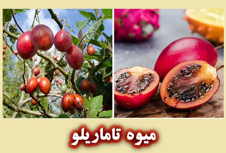 میوه تاماریلو چه خواصی برای پوست و مو دارد؟