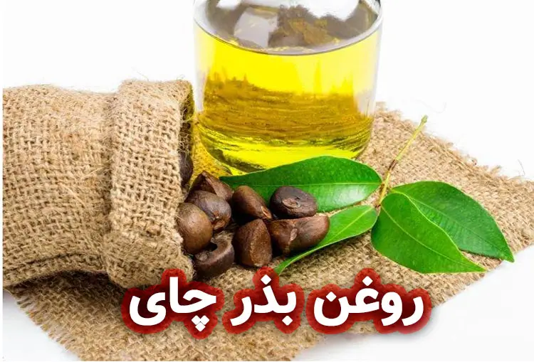 روغن بذر چای