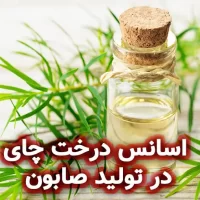 اسانس درخت چای در تولید صابون گیاهی