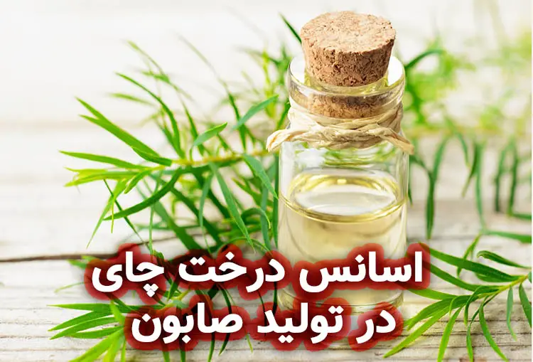 اسانس درخت چای در تولید صابون گیاهی