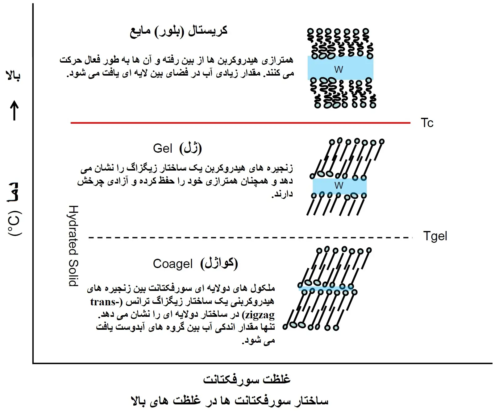 میسل : ساختار سورفکتانت ها در غلظت های بالا
