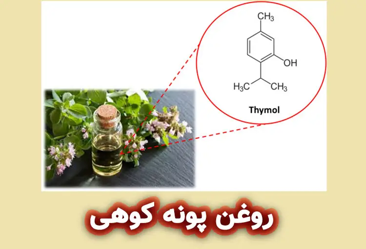 روغن آویشن در صابونو سازی و محصولات ارایشی
