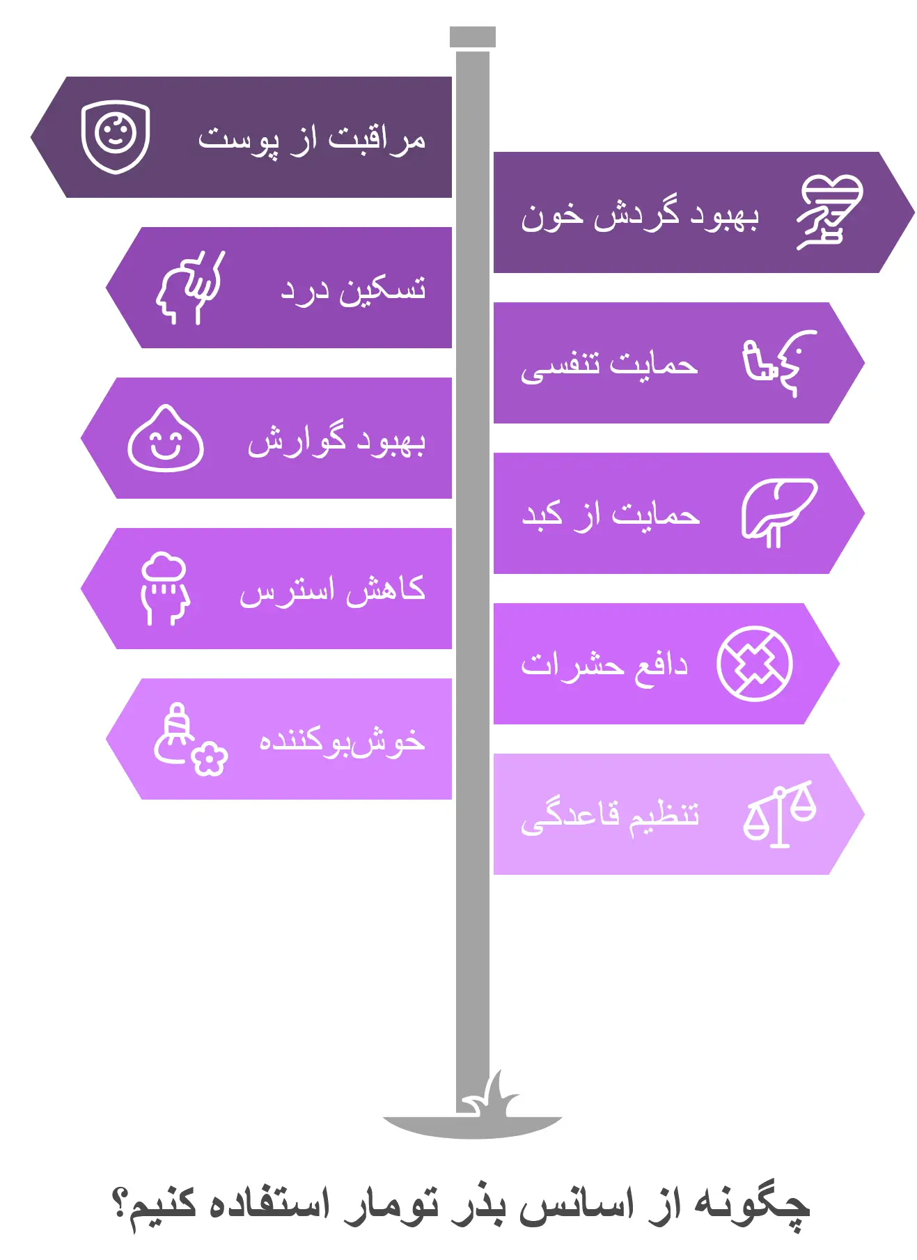 خواص اسانس بذر تومار