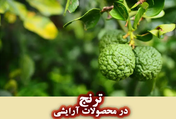 خاستگاه درخت ترنج