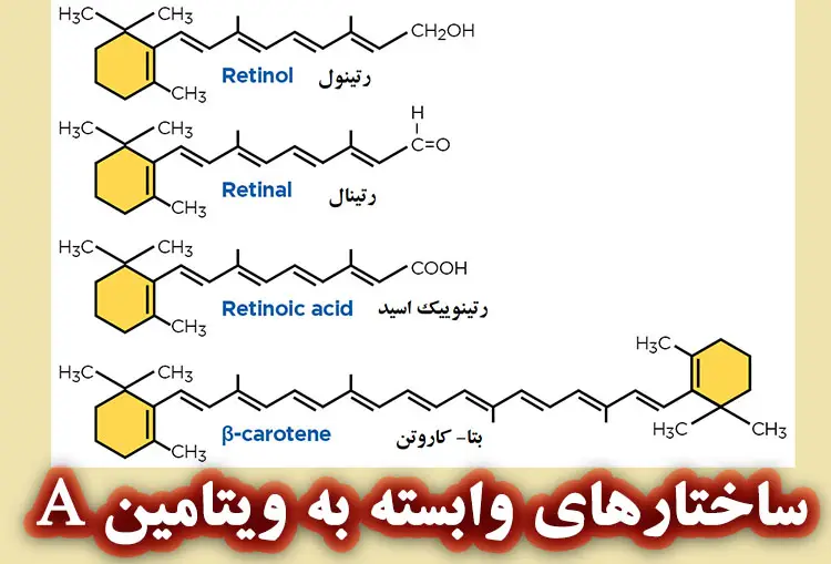 خانواده رتینوئید ها