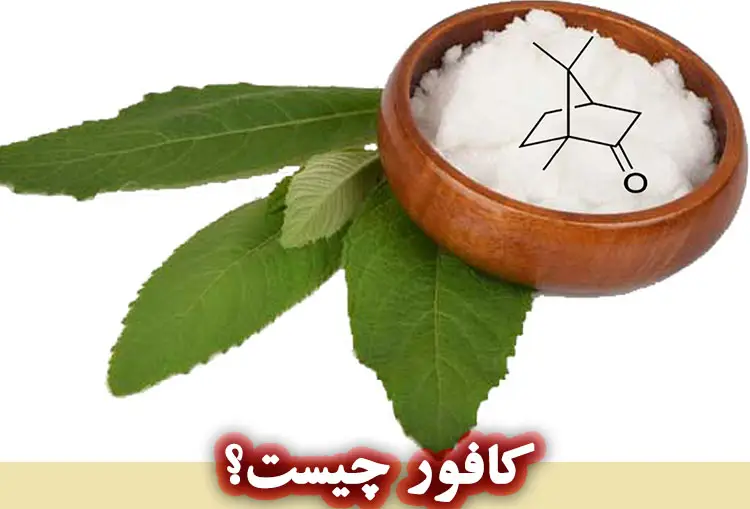 کافور چیست؟