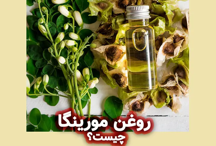 روغن مورینگا چیست؟