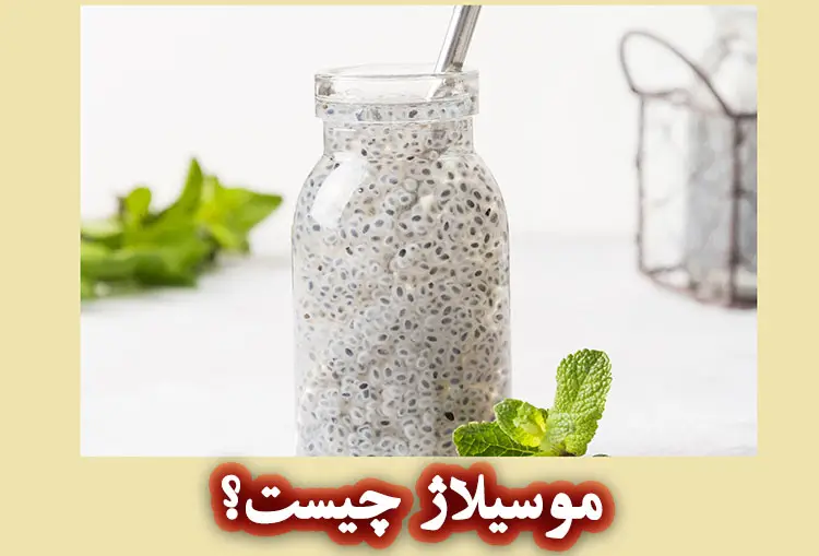 موسیلاژ چیست؟ 