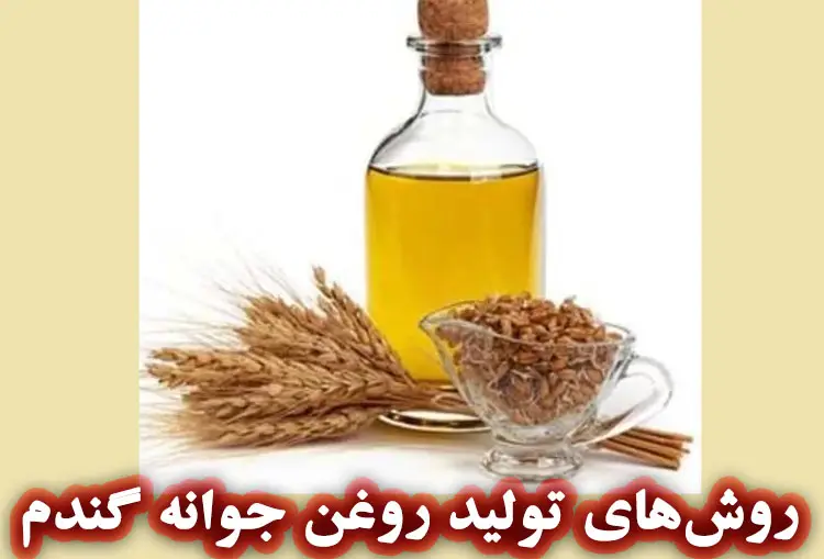روش‌های تولید و فرآوری روغن جوانه گندم