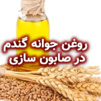 روغن جوانه گندم