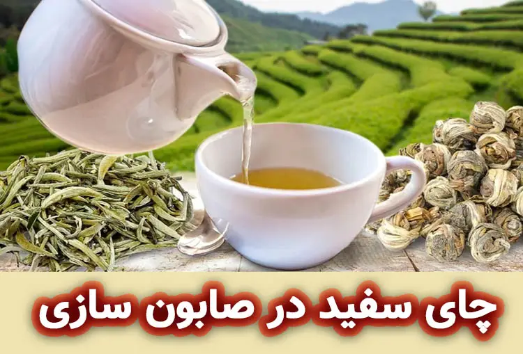 چای سفید