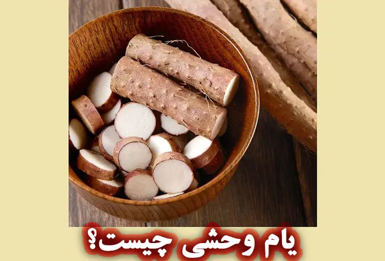 خواص عصاره یام وحشی برای پوست