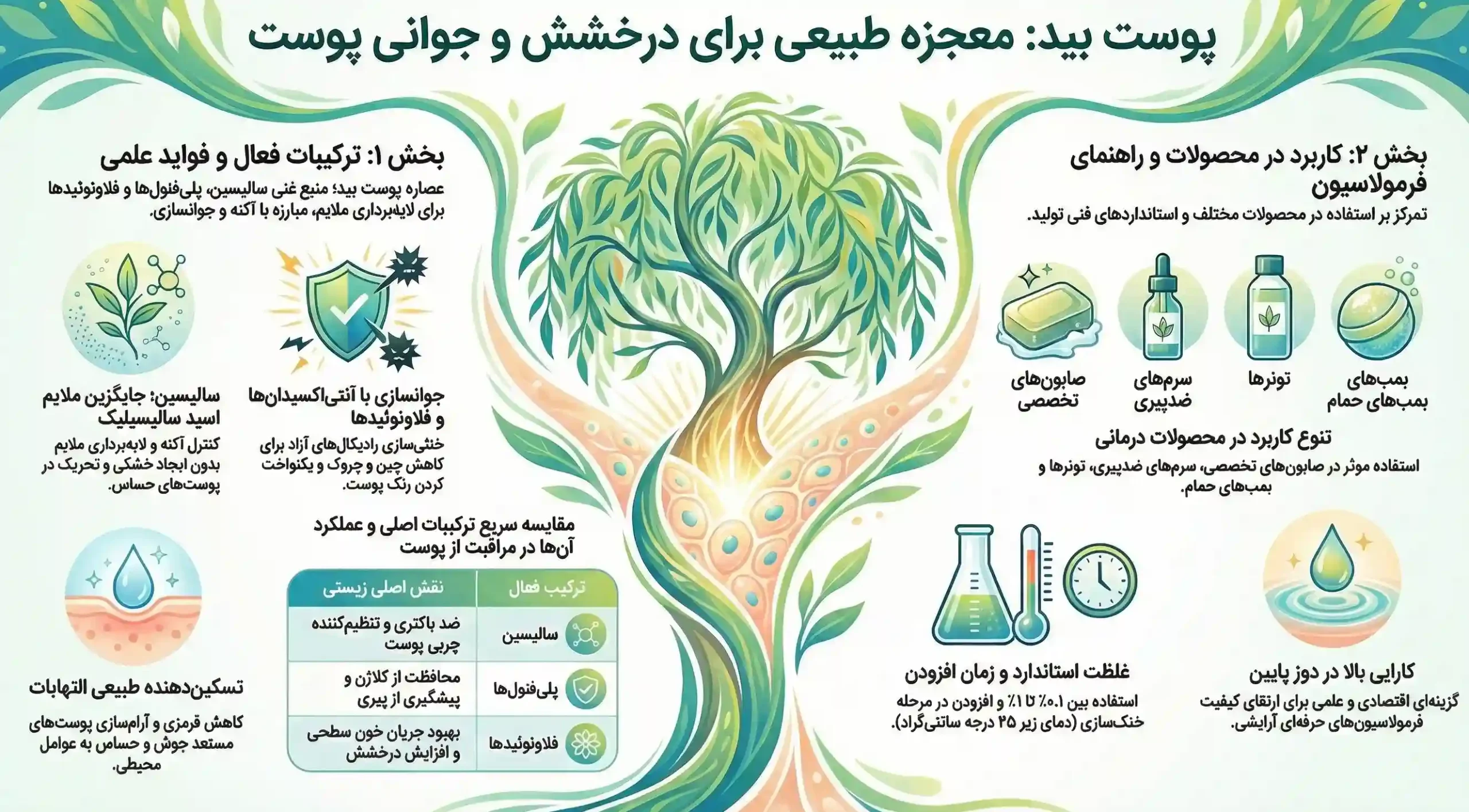 اینفوگرافیک فواید پوست بید