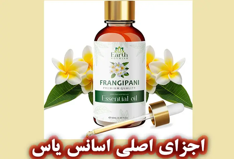 اجزای اصلی اسانس یاس
