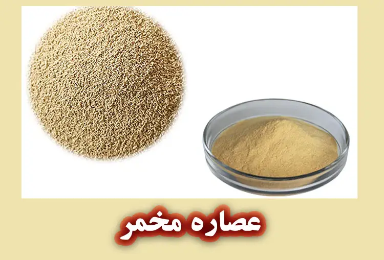 عصاره مخمر چیست؟