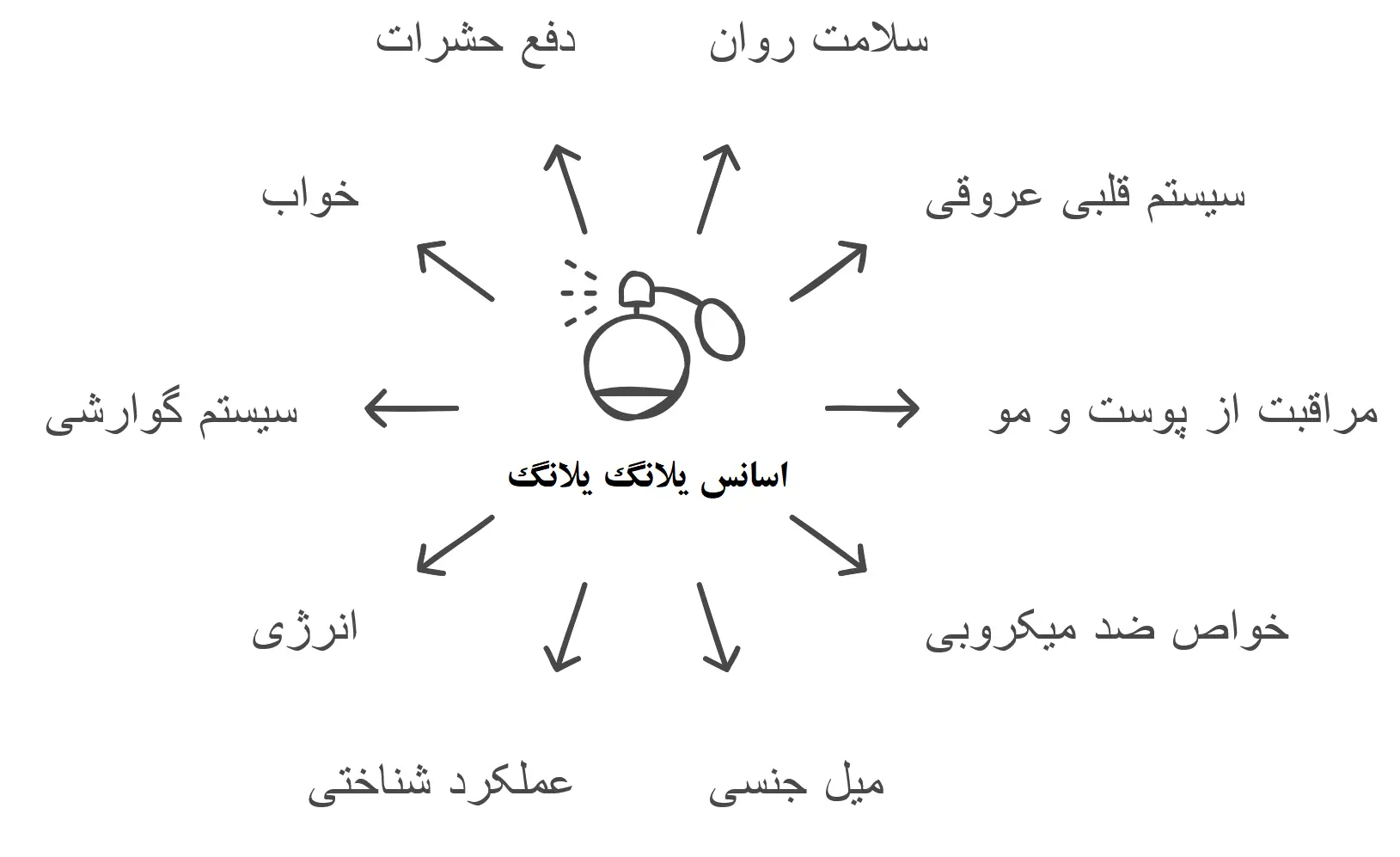 اینفوگرافیک کاربردهای اسانس یلانگ یلانگ