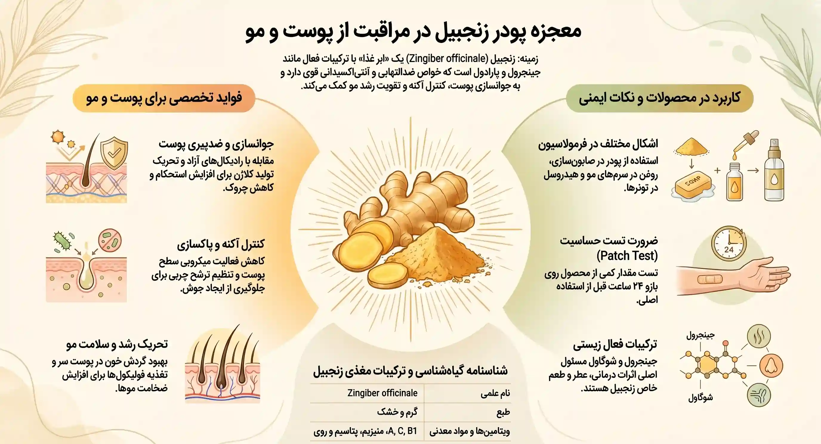 اینفوگرافیک خواص زنجبیل در مراقبت پوست