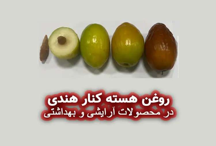 روغن هسته کنار هندی