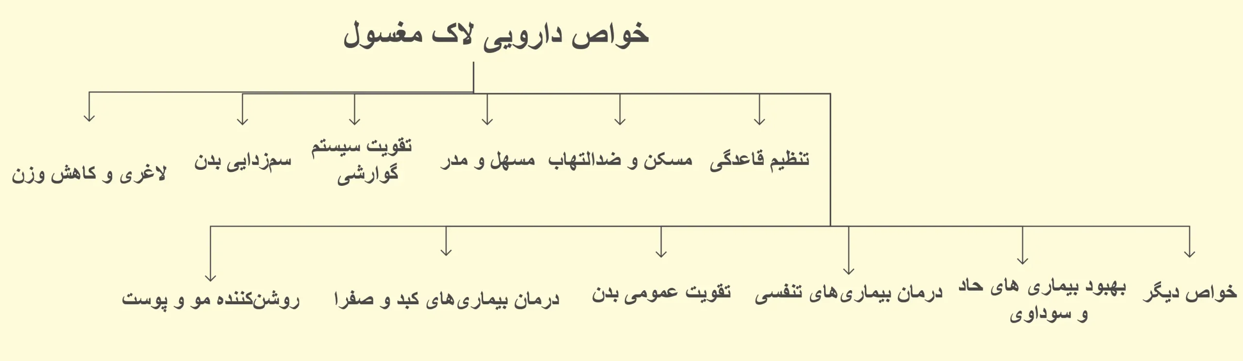 اینفوگرافیک خواص دارویی لاک مغسول