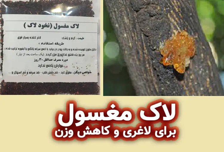  لاک مغسول برای لاغری و کاهش وزن