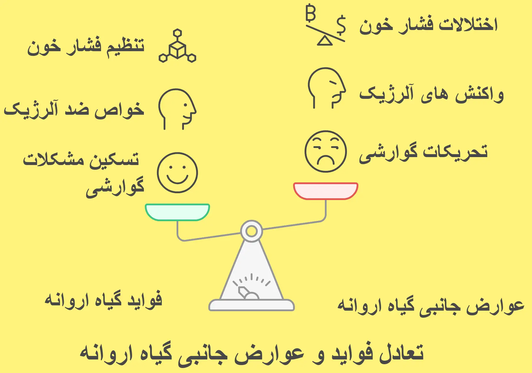 اینفوگرافیک عوارض مصرف گیاه اروانه