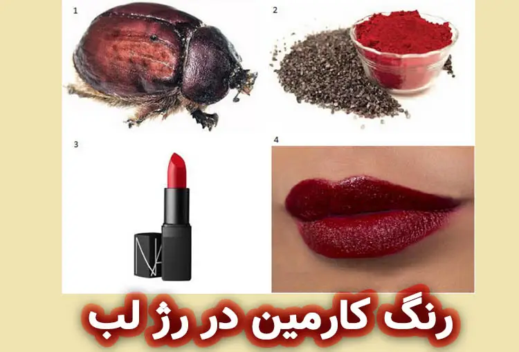 کارمین چیست؟