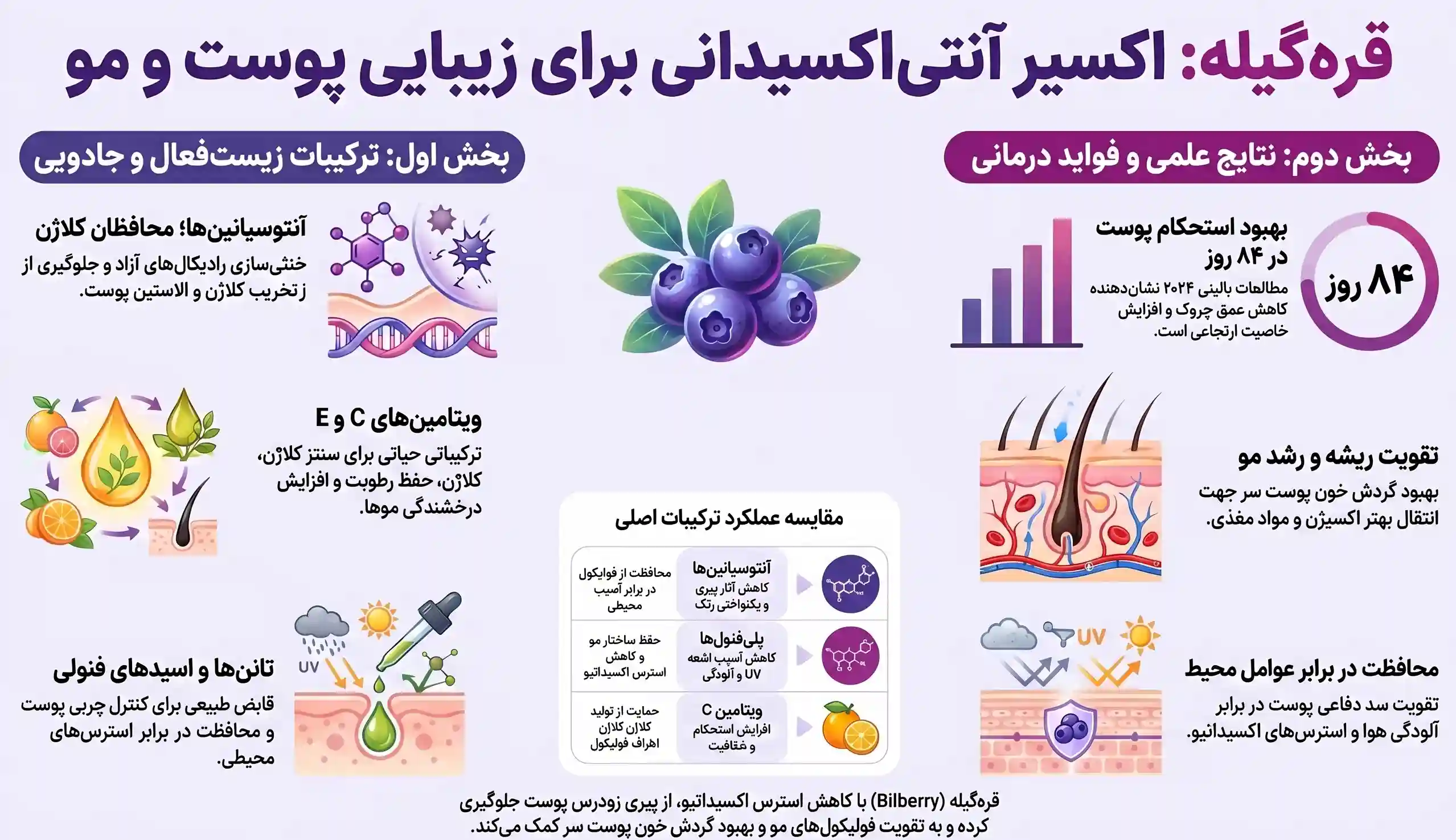 اینفوگرافیک خواص قره گیله اینفوگرافیک خواص قره گیله