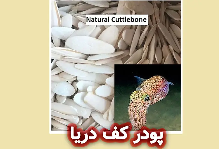 ترکیبات و خواص پودر کف دریا