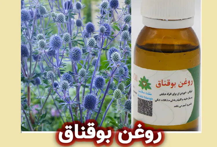 خواص روغن گیاه بوقناق