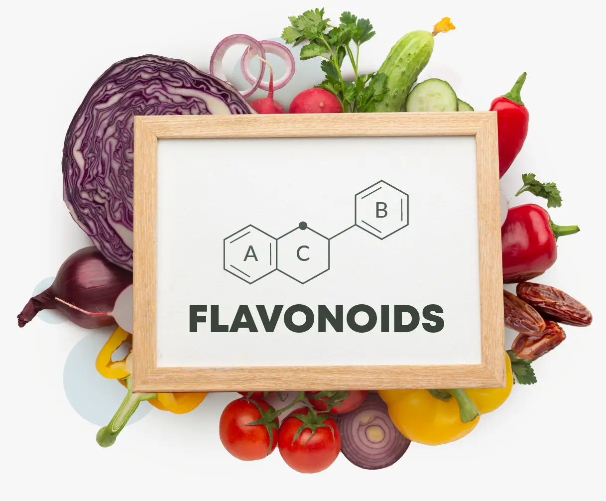 فلاونوئید ها (Flavonoids)