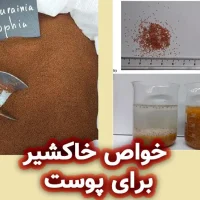 خواص خاکشیر برای پوست و فواید صابون خاکشیر