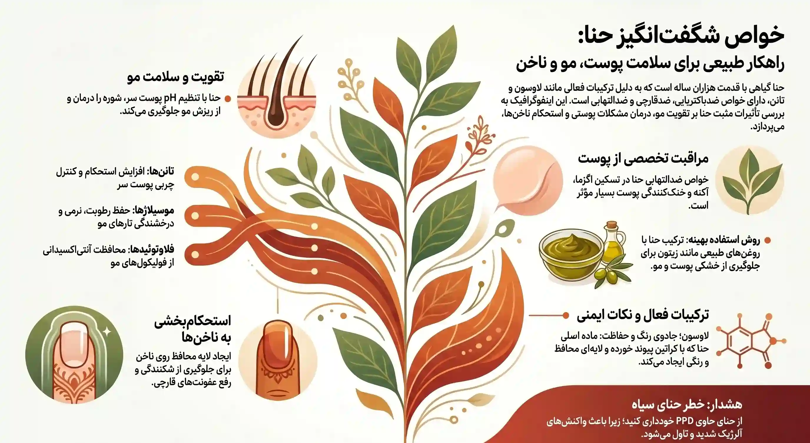 اینفوگرافیک خواص حنا: درمان اگزما، تقویت ناخن و مو