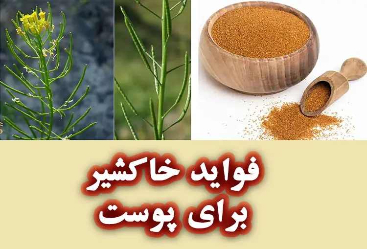 خواص خاکشیر برای پوست و مو