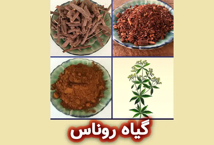 روناس چیست؟