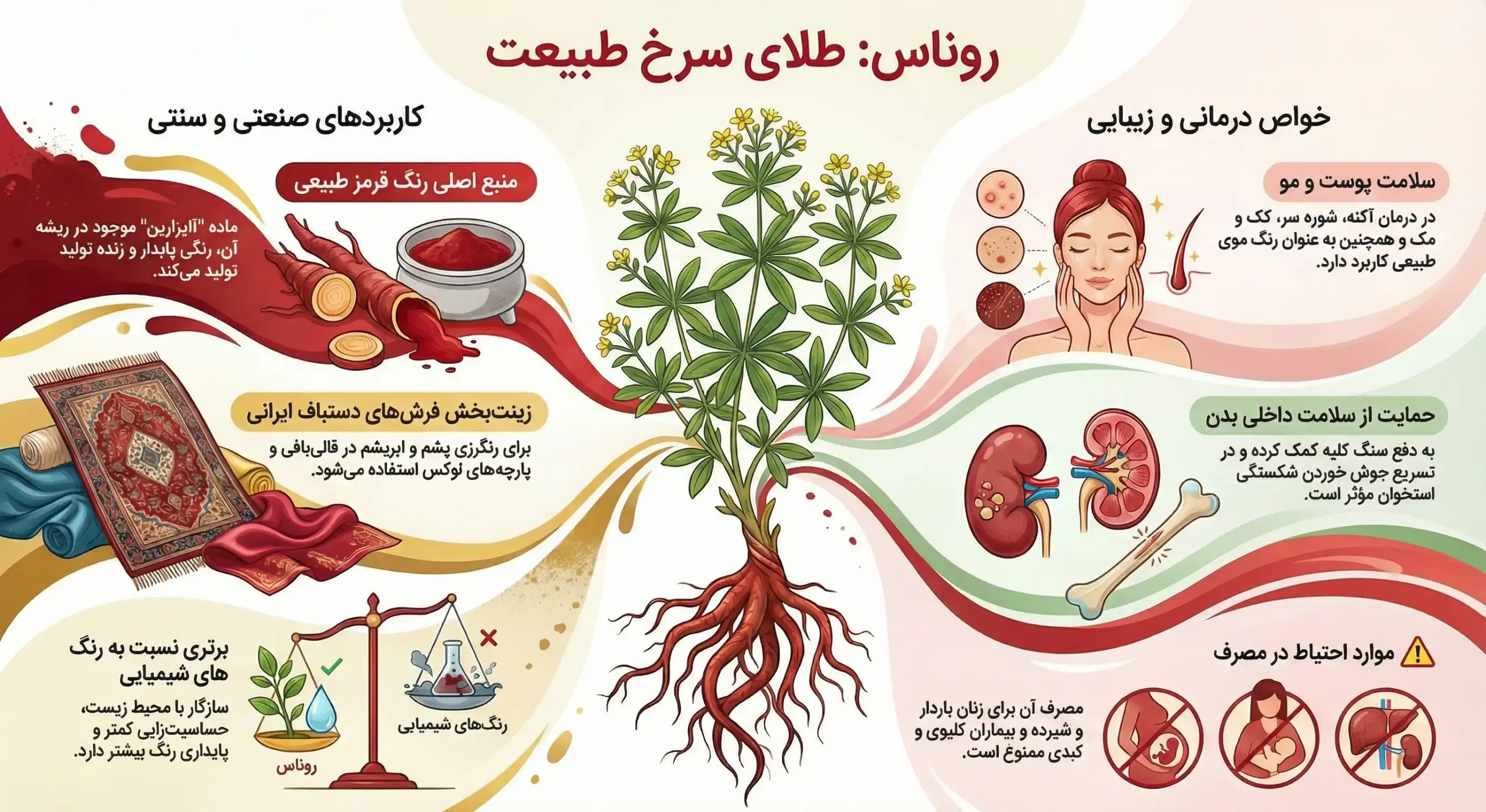 اینفوگرافیک کاربردهای روناس