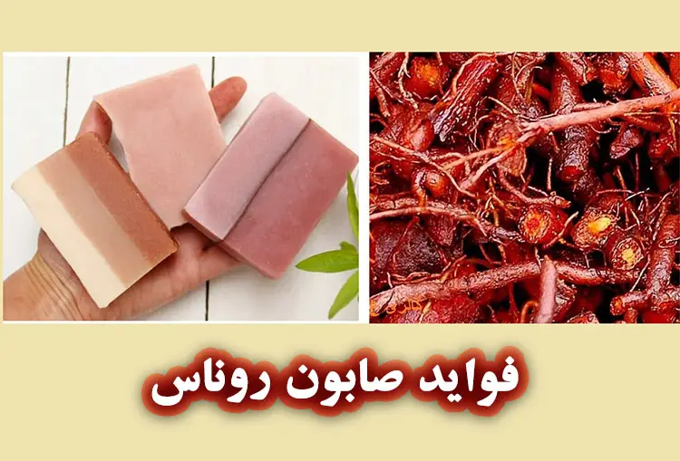 روناس چیست؟ با خواص و کاربرد بی نظیر گیاه روناس آشنا شوید 6 خواص صابون روناس