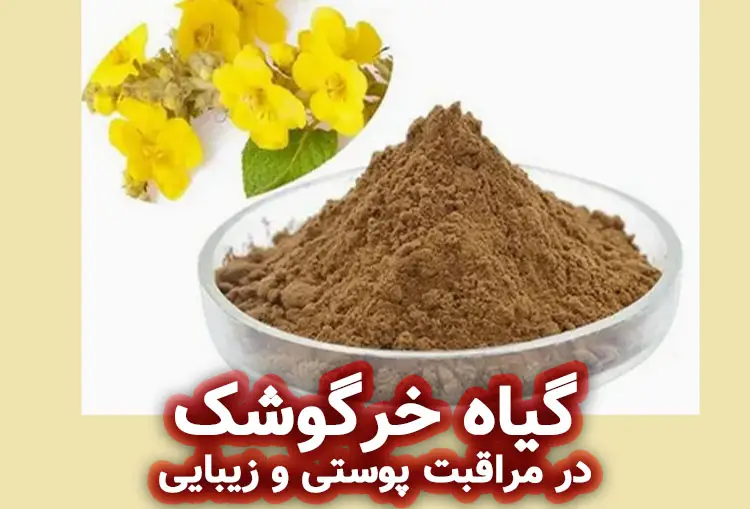 گیاه خرگوشک در مراقبت پوست و مو